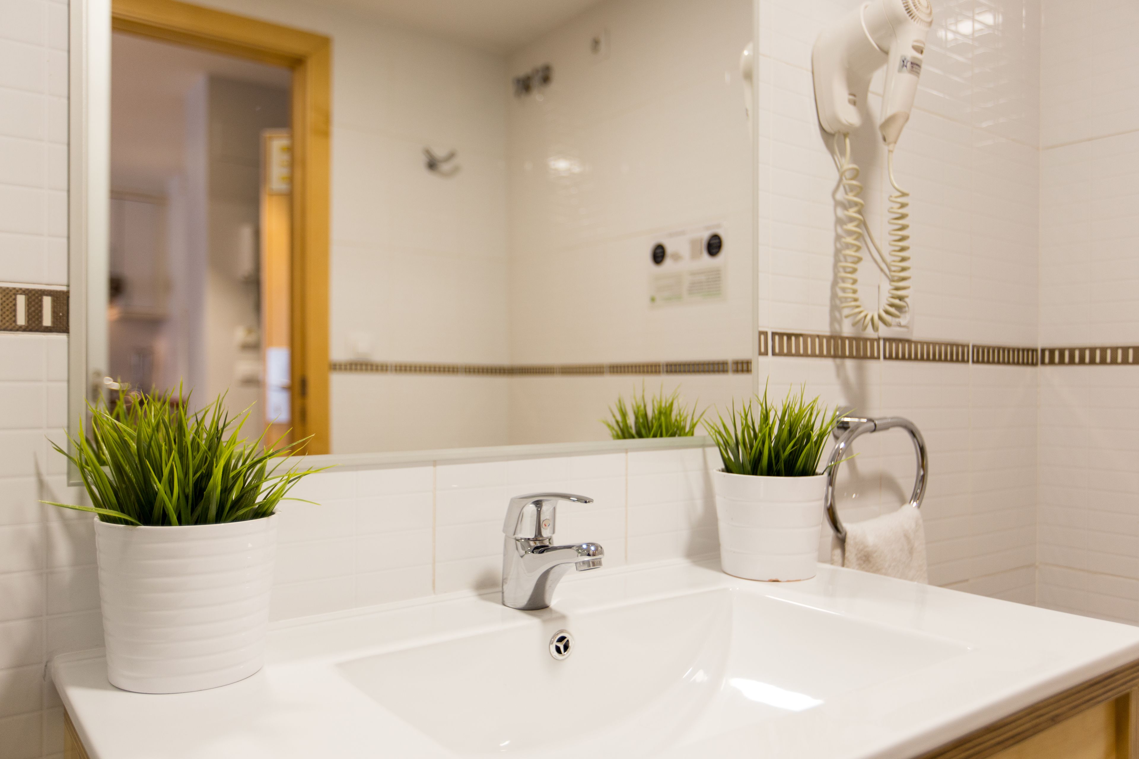 Un baño con un lavamanos blanco, dos plantas en macetas, un espejo y un secador de pelo fijado en la pared.