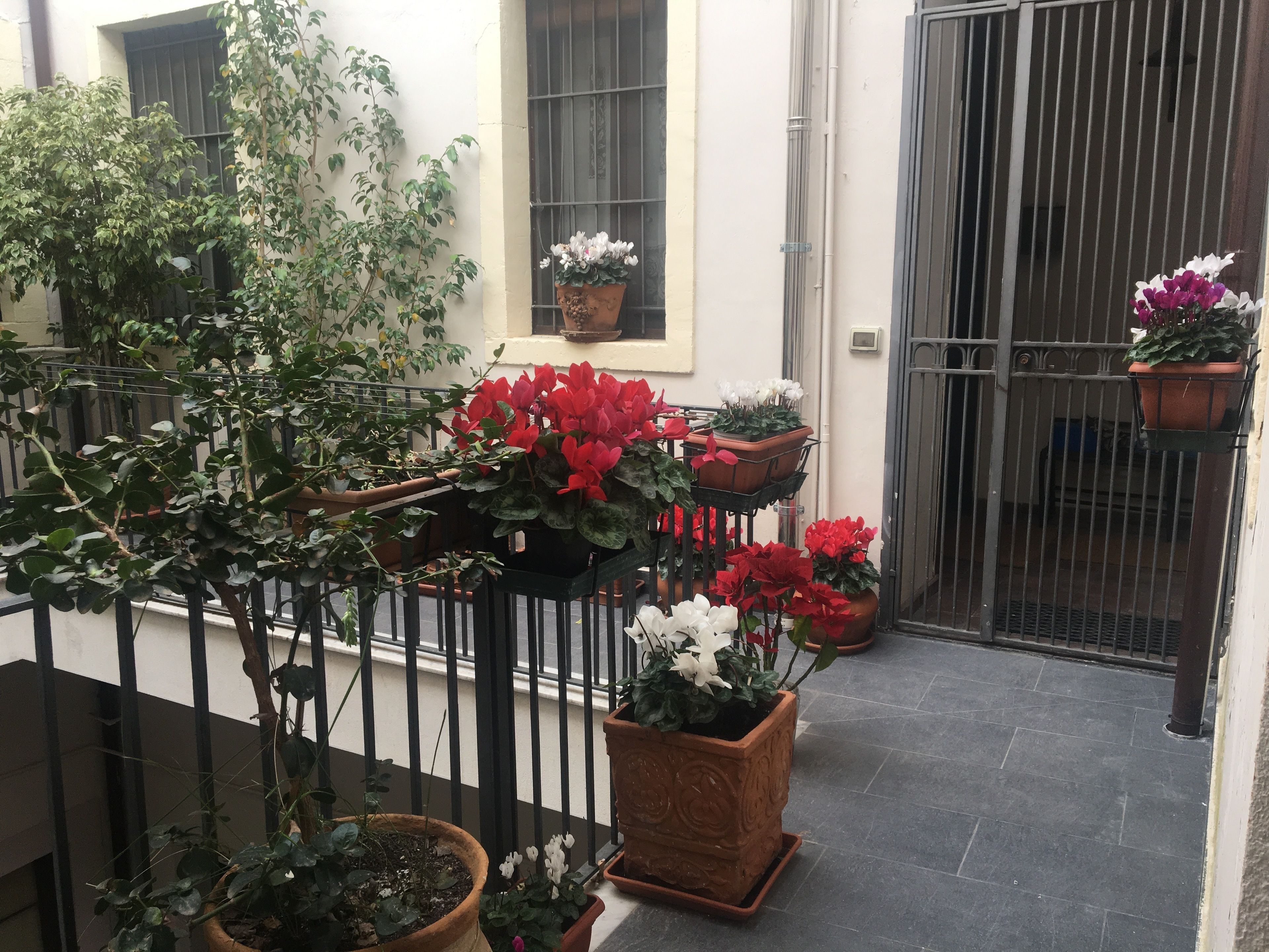 Photo - Amenano Apartments