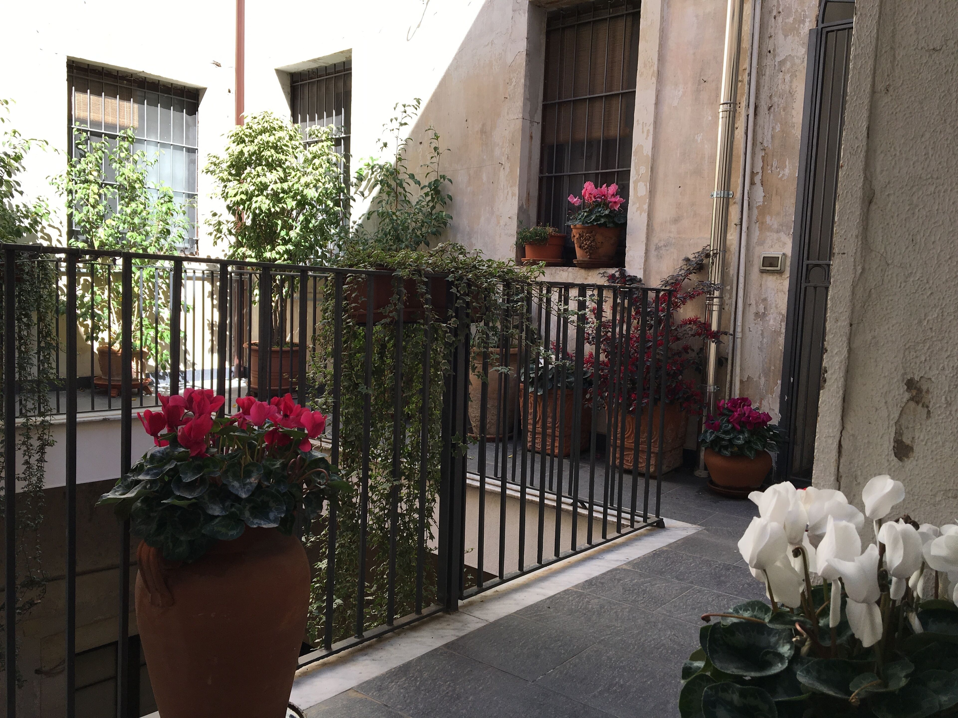 Photo - Amenano Apartments