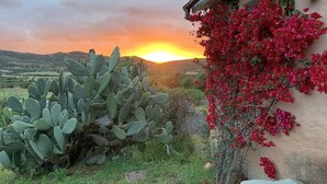 A cactus and bougainvillea plant in front of a building with a view of a sunset over hills. - Hotel Glamping Borgo di Campagna (Loiri Porto San Paolo)