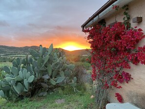 Exterior - Hotel Glamping Borgo di Campagna (Loiri Porto San Paolo)
