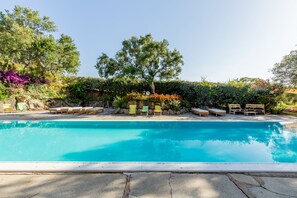 Una piscina con sillones de descanso y un árbol al fondo.