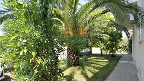 A well-maintained garden with a palm tree and various shrubs, a paved walkway, and a white building in the background. - Apartmani Trogir (Trogir)