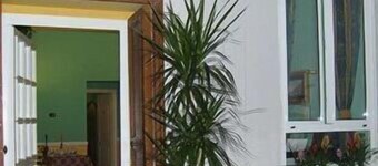 Delle Palme