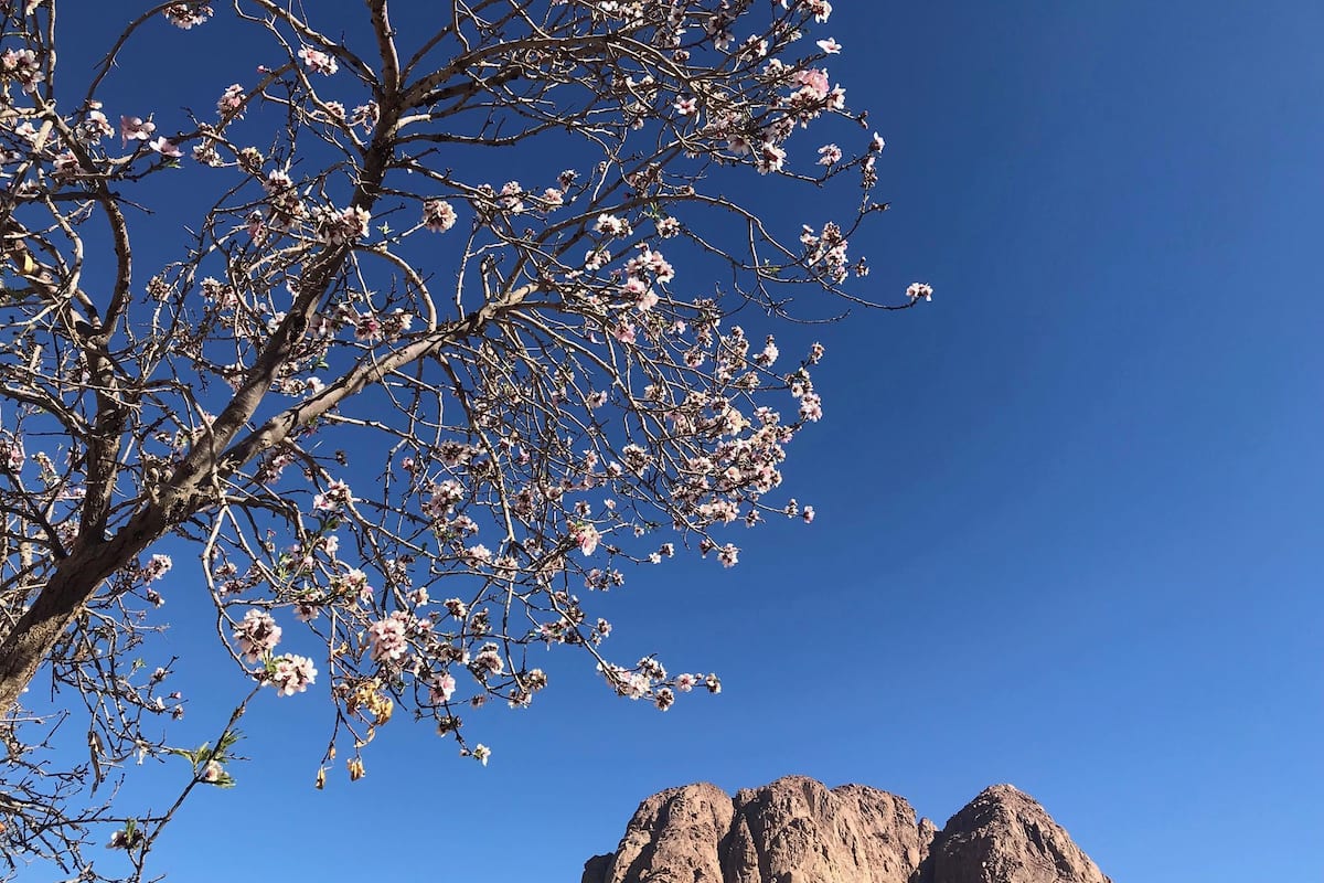 Mountain view