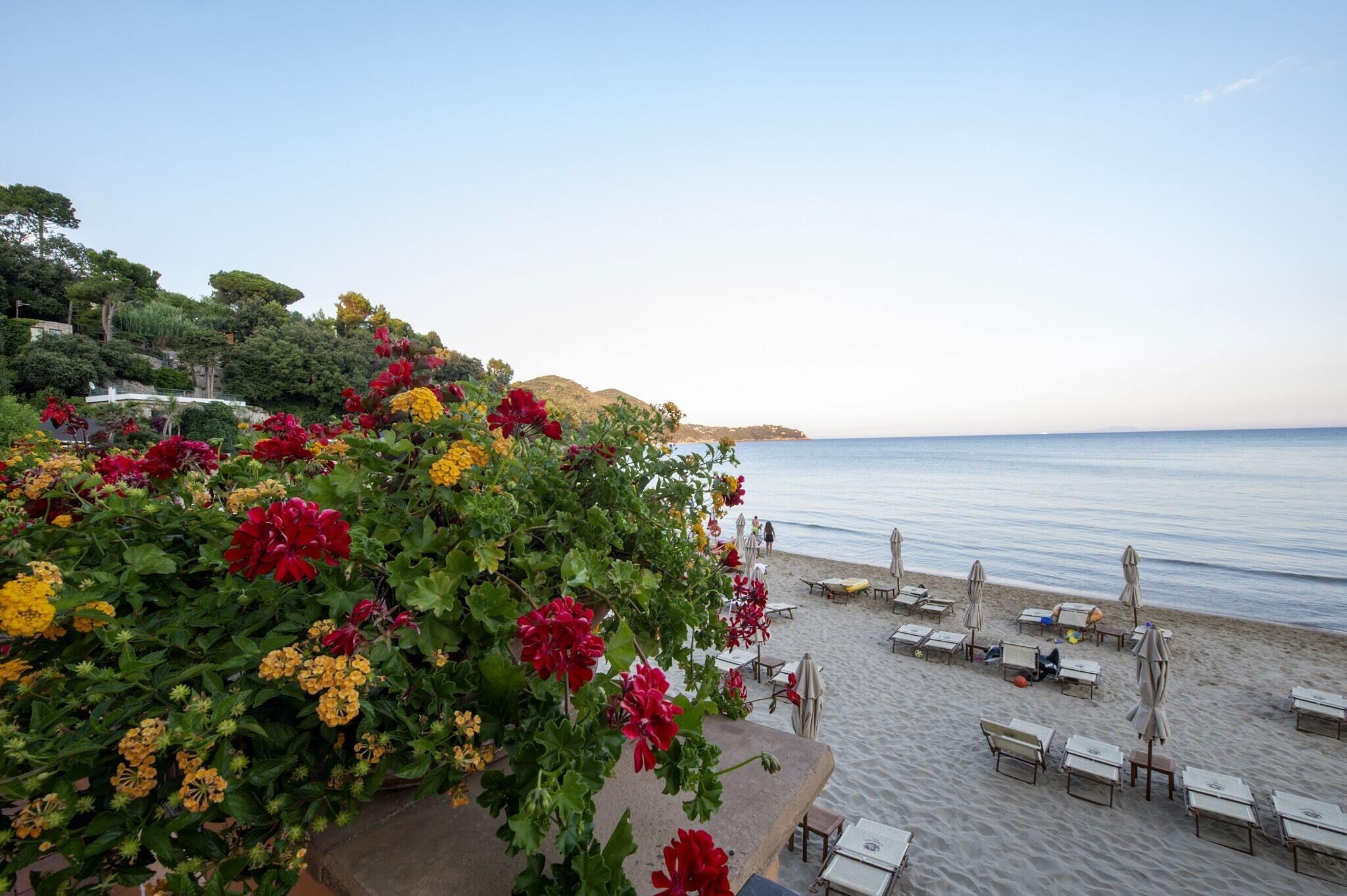 Foto - Summit Hotel