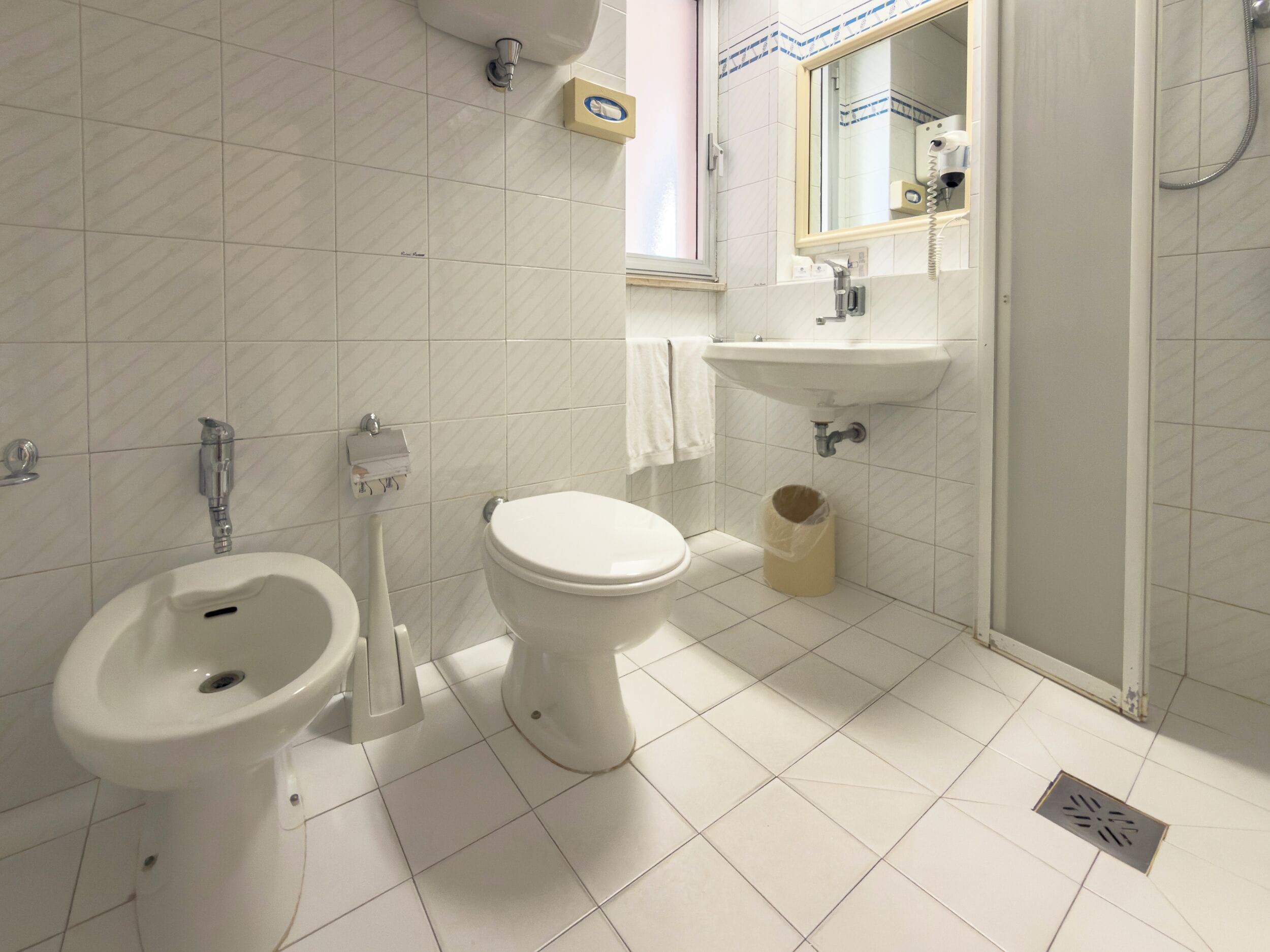 Un bagno con bidet, servizi igienici, lavandino e specchio.