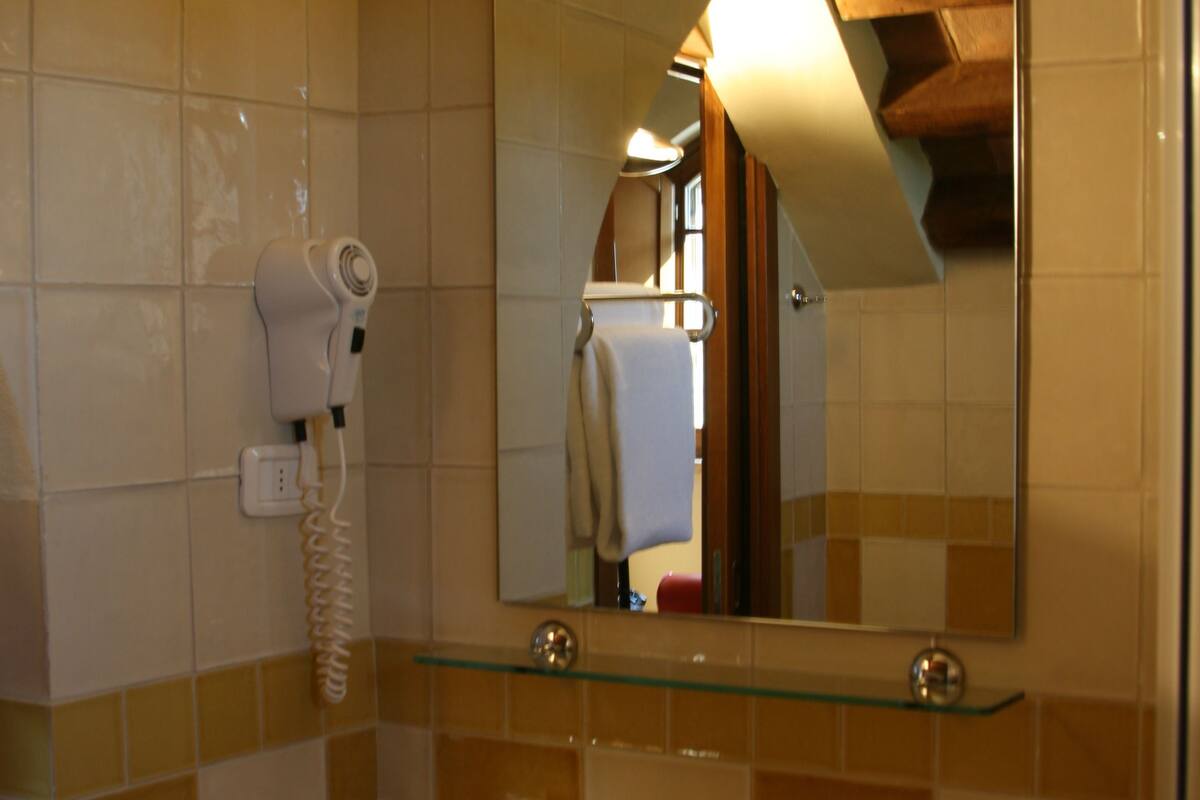shower, free toiletries, hair dryer, bidet