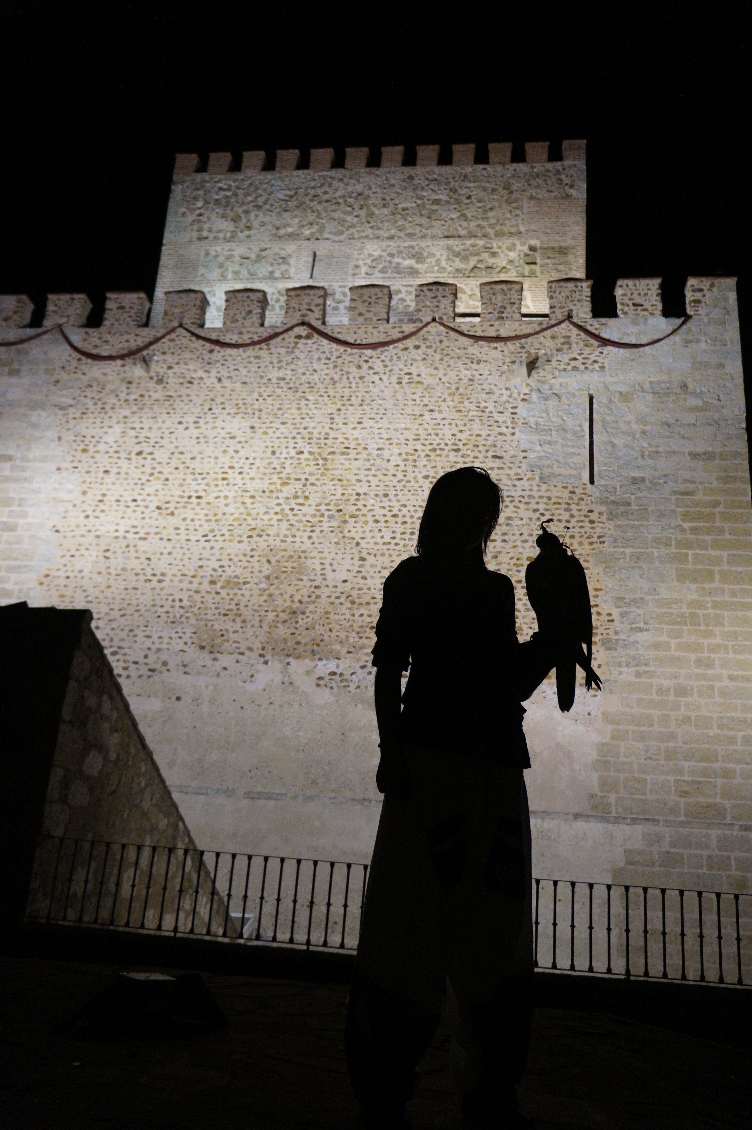 ropes course (team building)