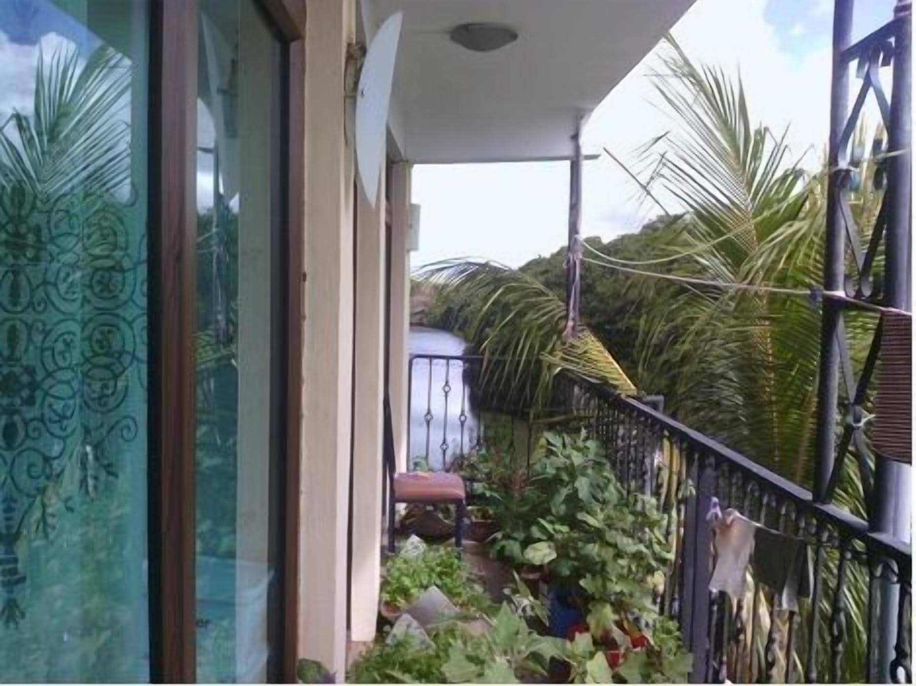 Foto - Le Bamboo Guesthouse