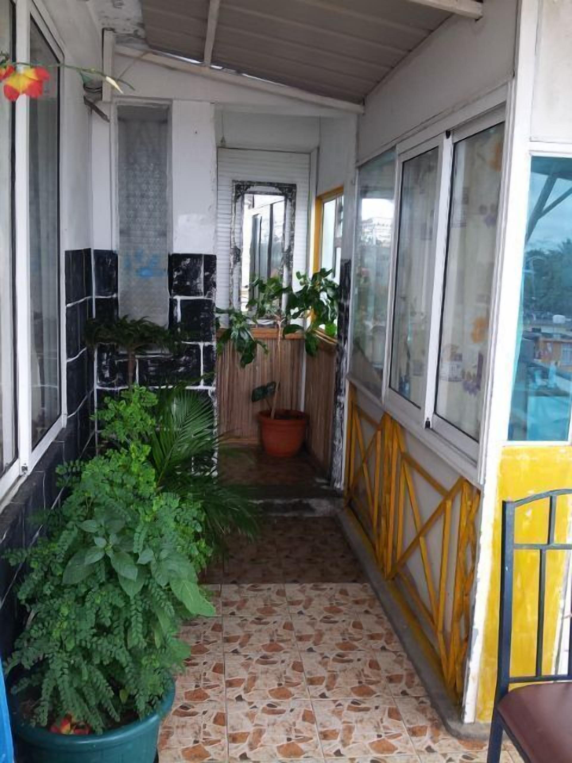 Foto - Le Bamboo