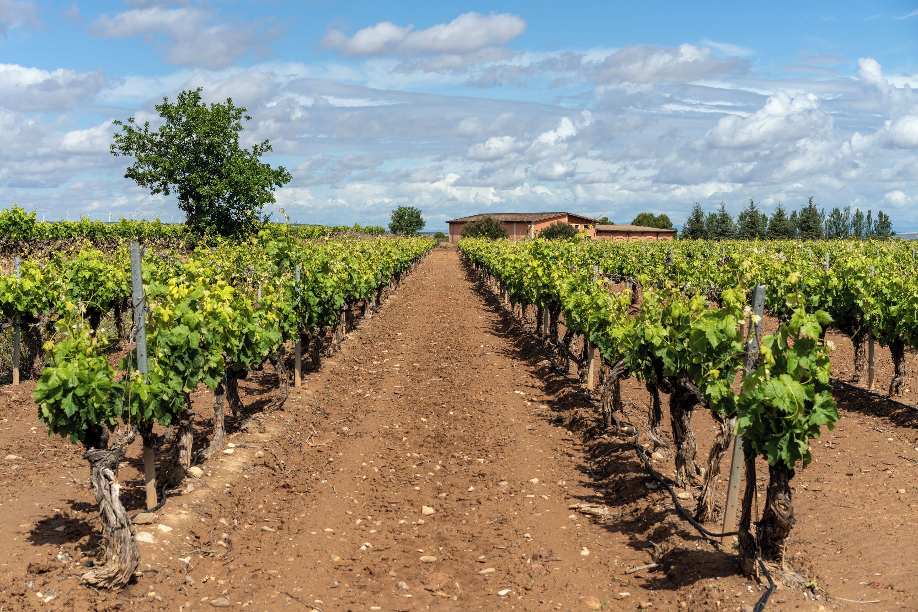 Photo - Parador de Calahorra
