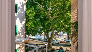 Une vue d’une rue bordée d’arbres, avec des voitures garées et un immeuble à la façade blanche et aux volets verts.