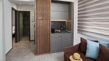 Classic Suite | Living area | Flat-screen TV, DVD player, offices