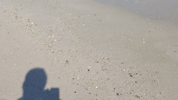 Una spiaggia con acque cristalline e una riva sabbiosa.