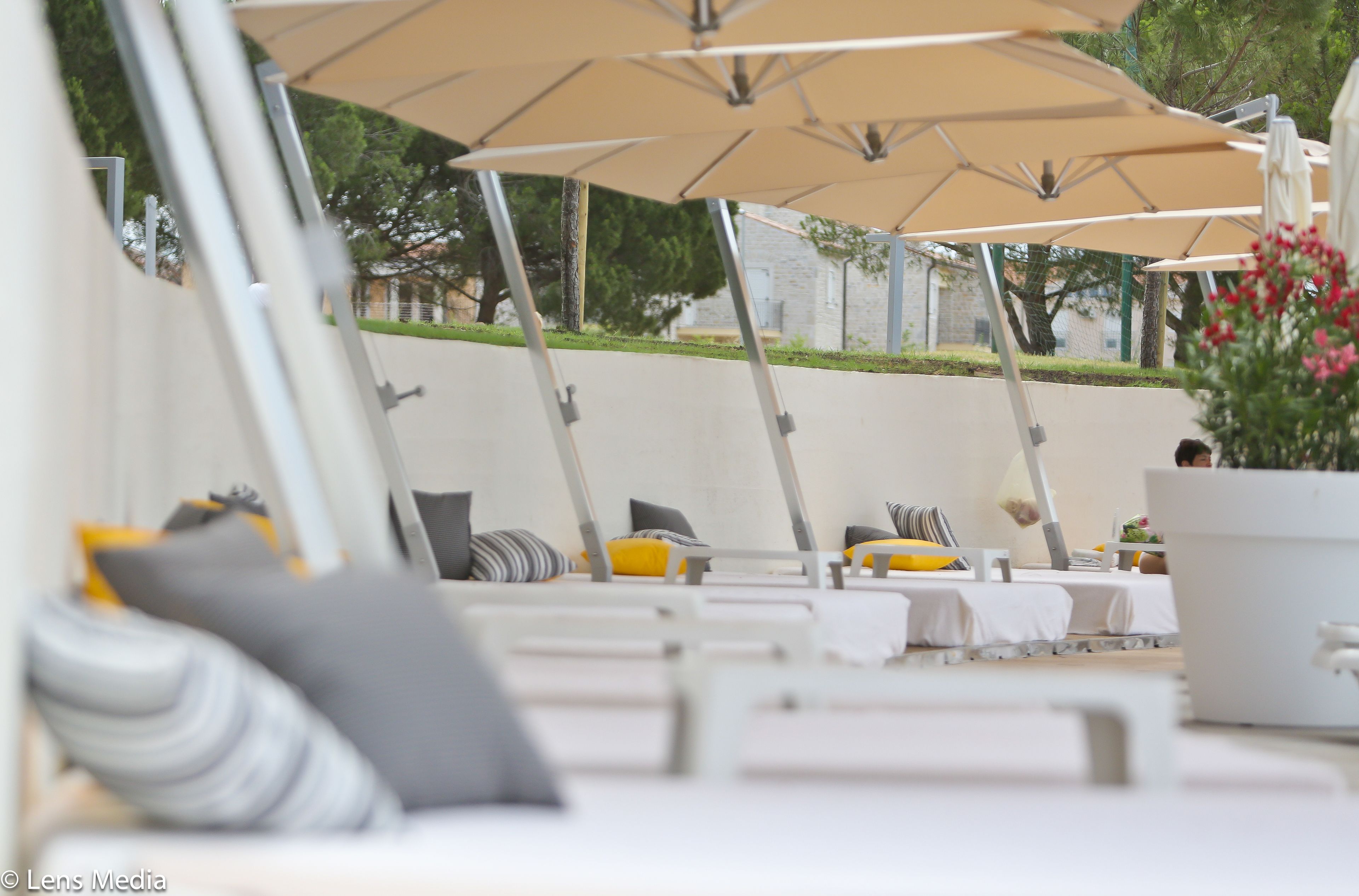 A row of sun loungers with beige umbrellas, white cushions, and a potted plant.