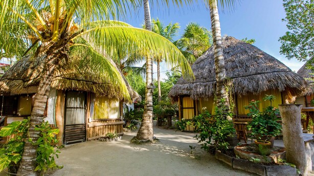 View from room - Cabañas Ida y Vuelta  (Isla Holbox)