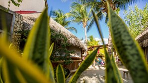 Coffee shop - Cabañas Ida y Vuelta  (Isla Holbox)