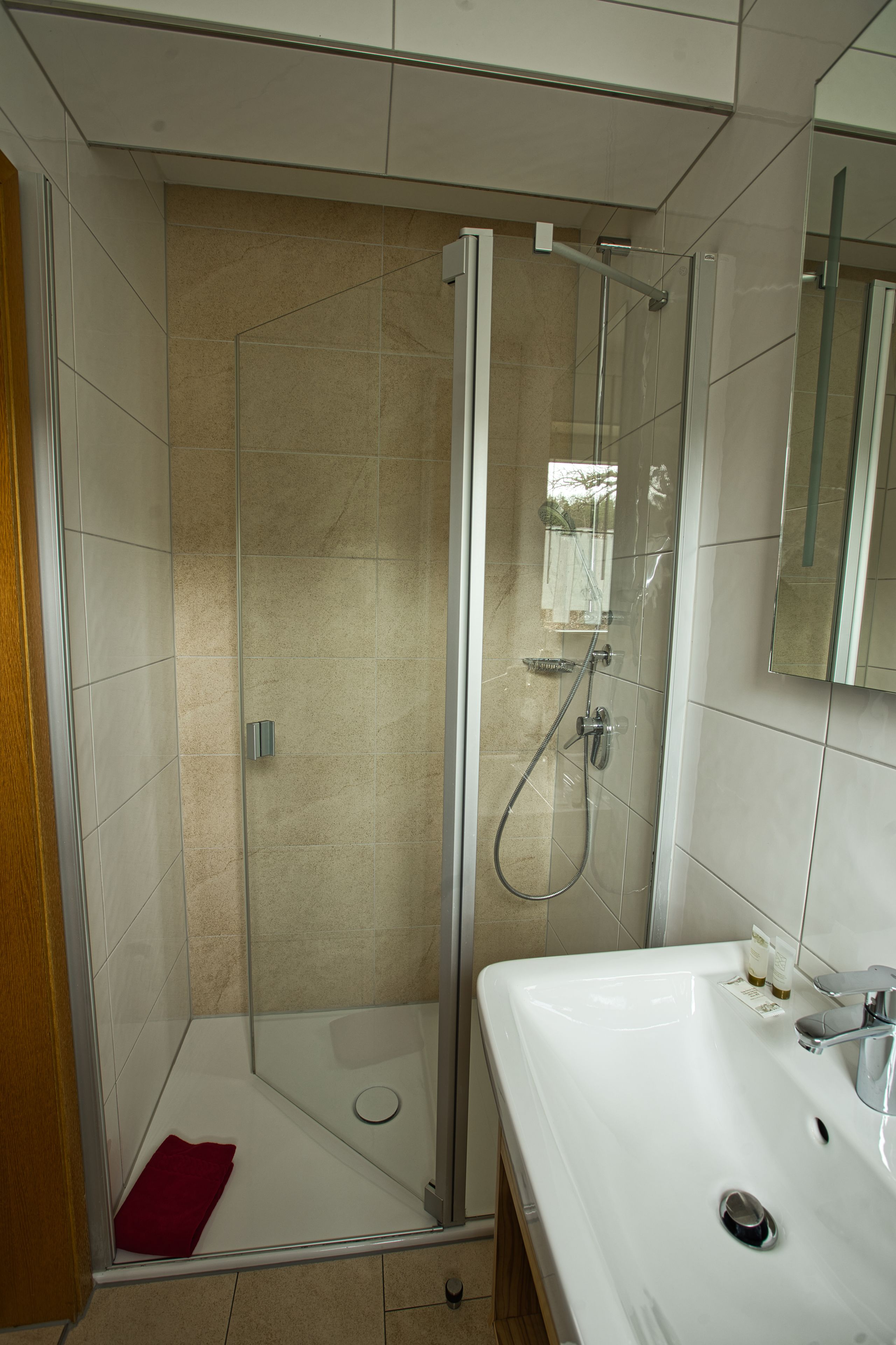 A modern bathroom with a glass-enclosed shower, a white sink, and a mirror above it.