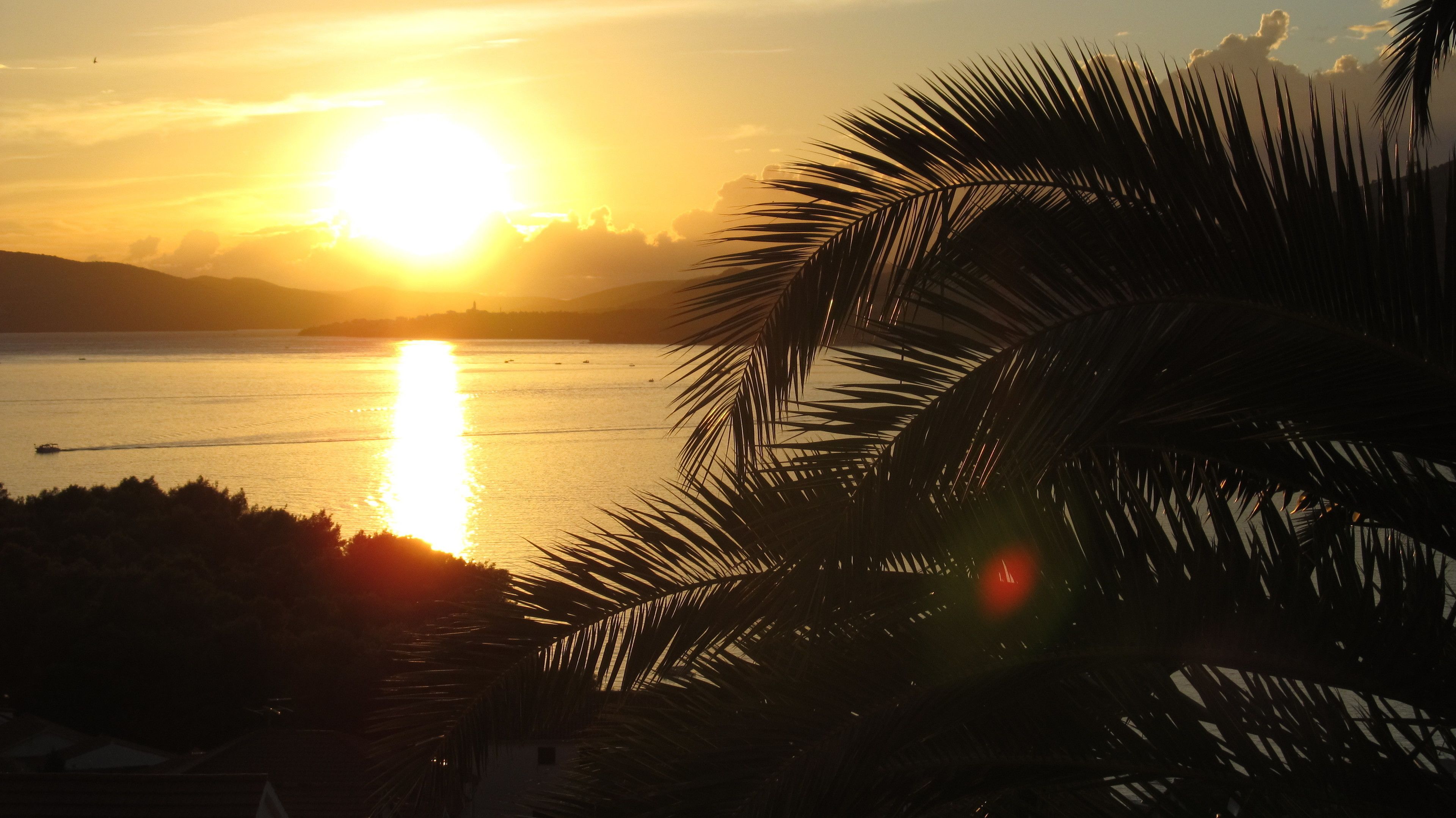 Un atardecer sobre aguas tranquilas, con la silueta de palmeras al frente.