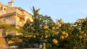 Diseño del edificio