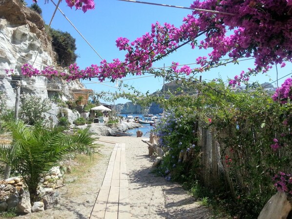 Property grounds - Hotel Villaggio dei Pescatori (Ponza)