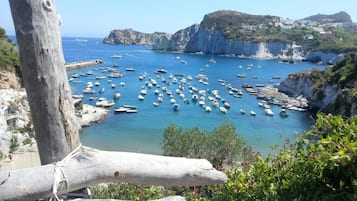 Una spiaggia nelle vicinanze