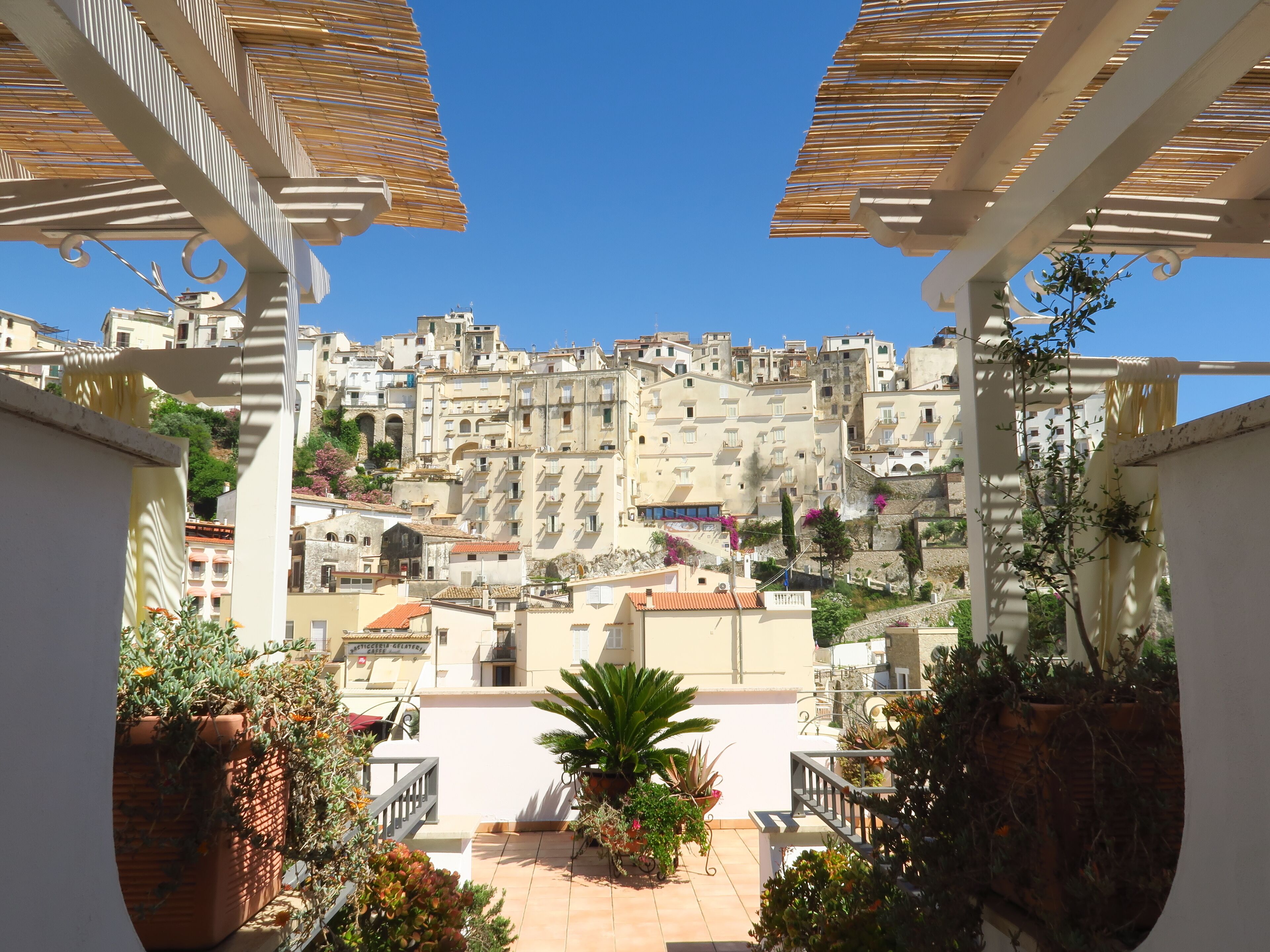 A balcony with potted plants and a view of a densely packed urban area with buildings.