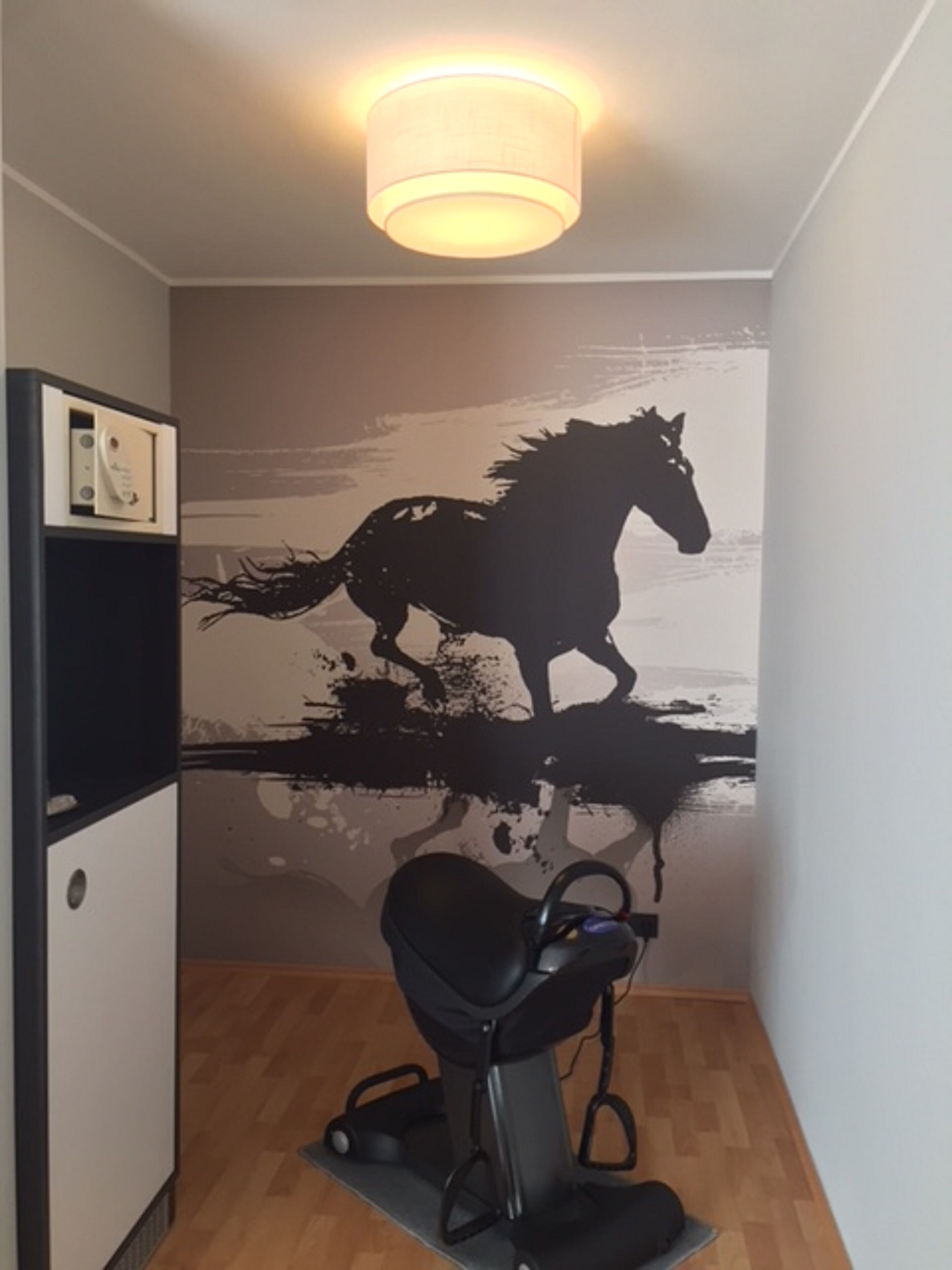 Una habitación con una bicicleta estática montada en la pared, un aplique de techo e un mural de silueta de caballo en la pared.