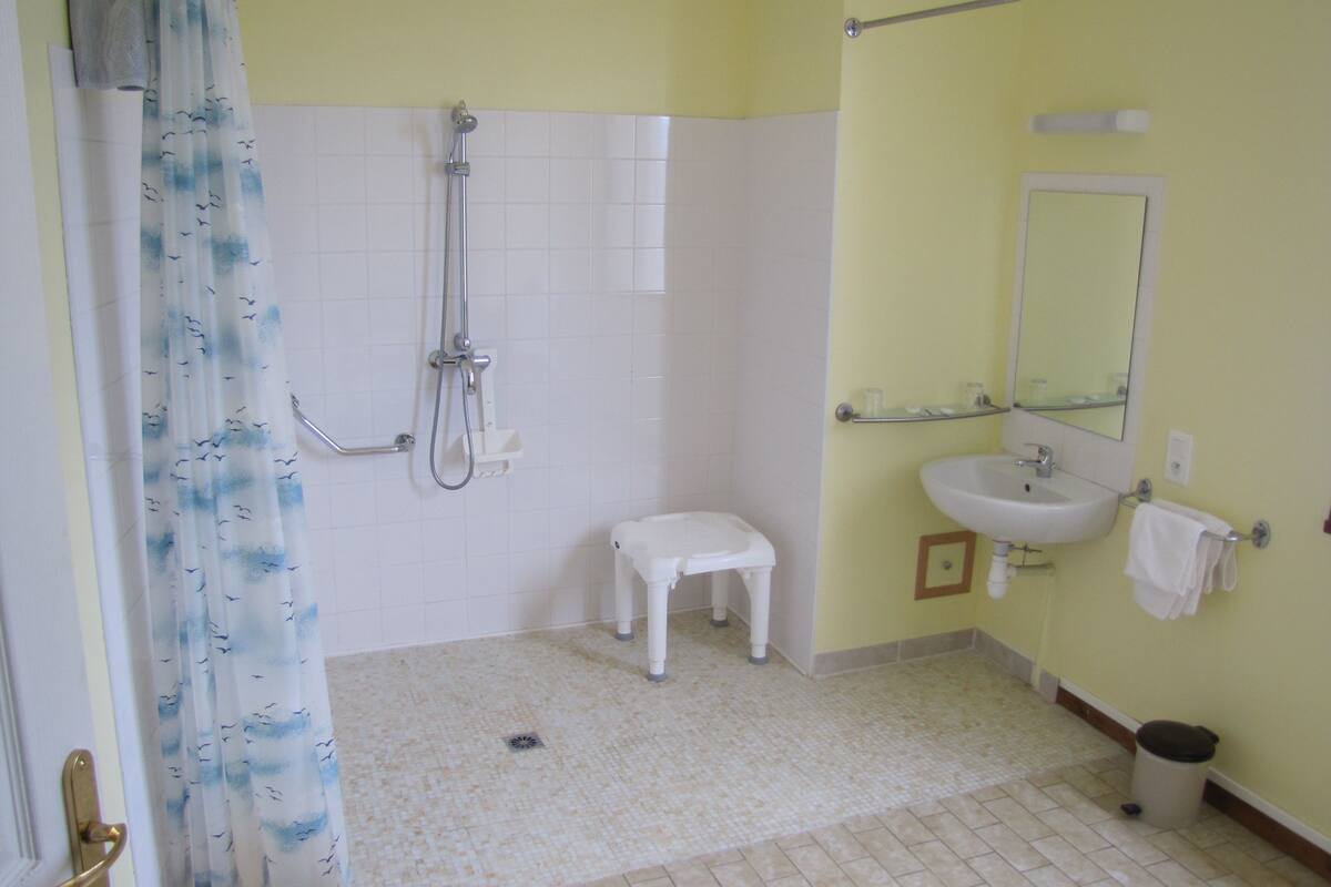 free toiletries, hair dryer, towels