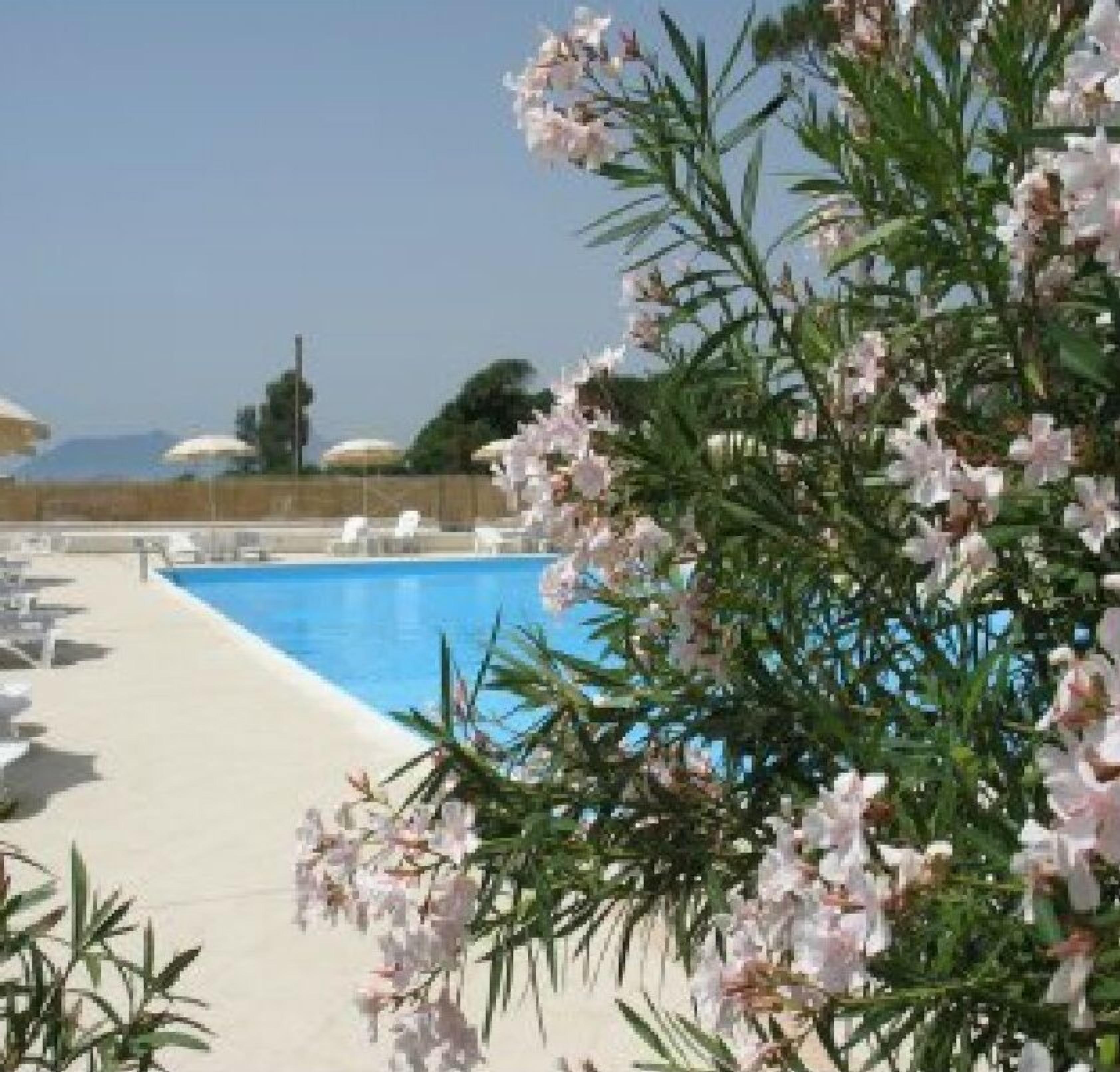 outdoor pool, pool loungers