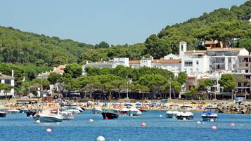 Vista desde la propiedad