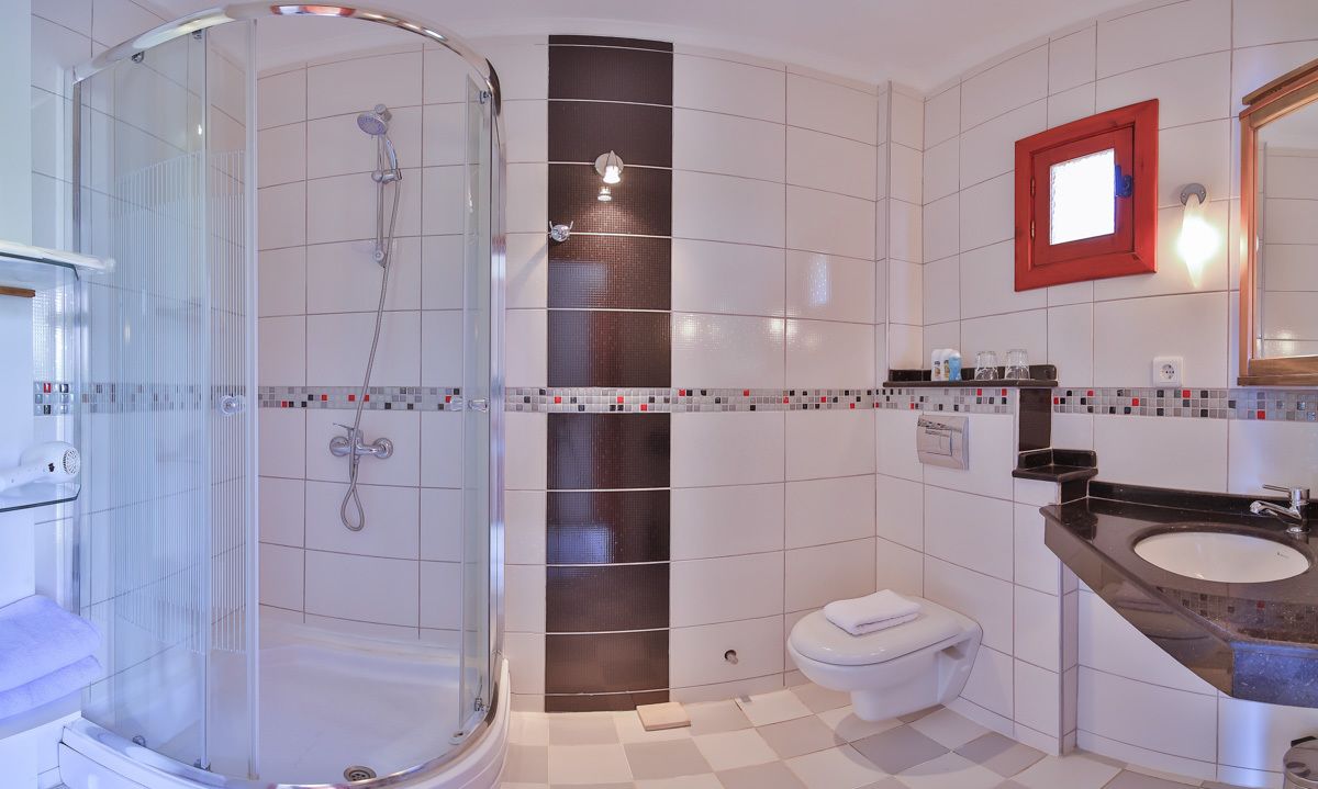 shower, free toiletries, hair dryer, slippers