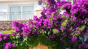 A wooden bench under a vine-covered archway with a sign reading "Mete Hotel." - Métà hotel (Santa Teresa di Gallura)