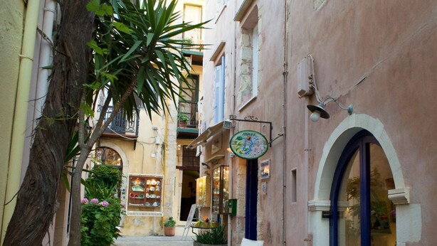 Una calle estrecha con pavimento de piedra, un árbol y una tienda con toldo azul.