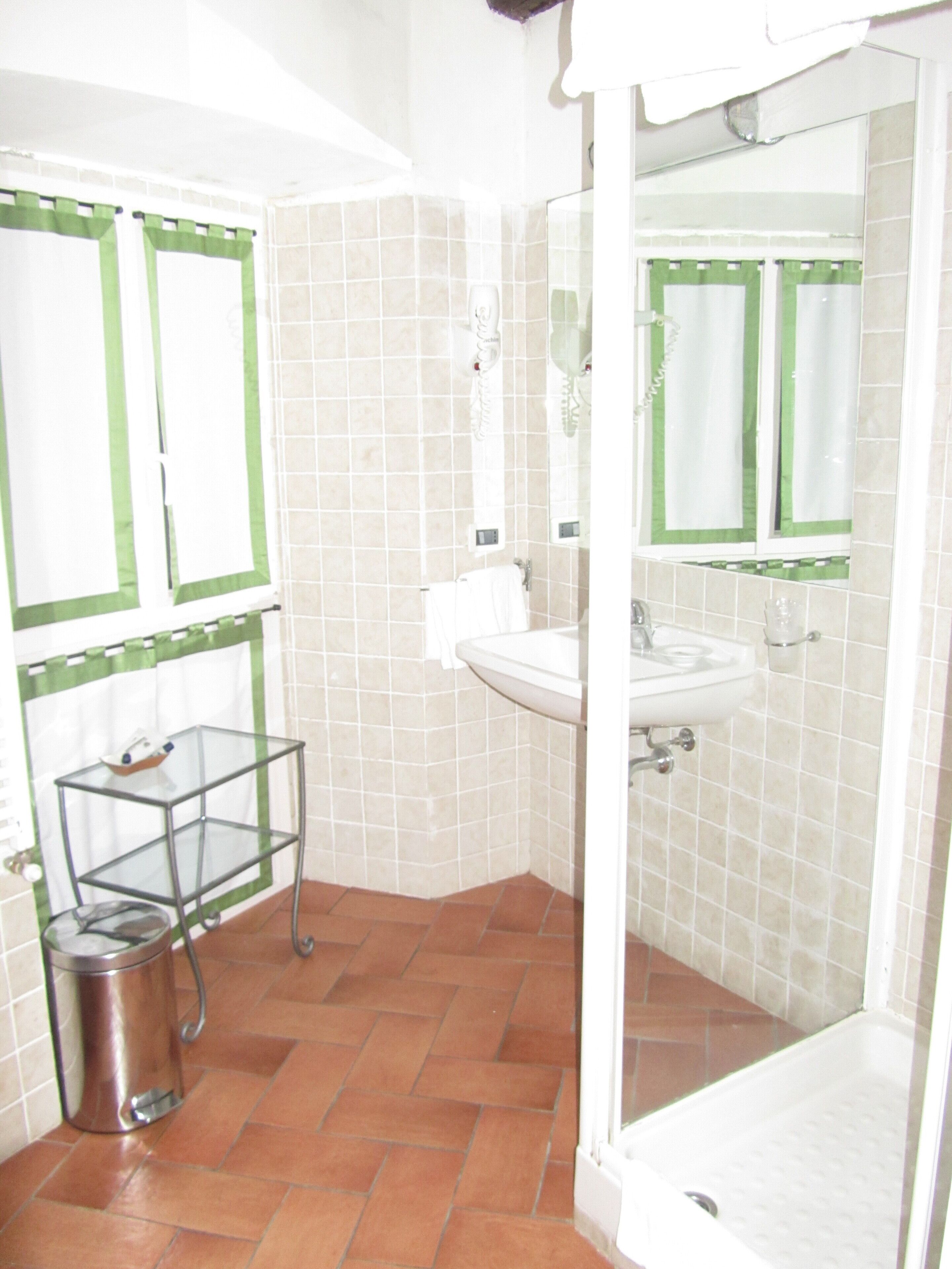 standard double room | bathroom | shower, free toiletries, hair dryer, bidet