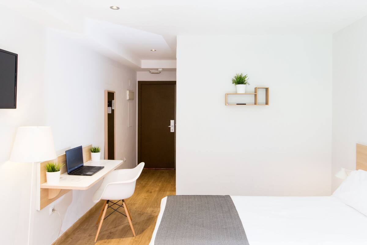 A modern hotel room with a desk, laptop, chair, bed, and a small potted plant.