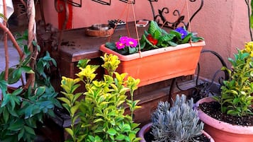 Jardín