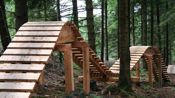 Eine hölzerne Konstruktion, die an eine Treppe im Wald erinnert.
