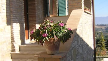Esterni