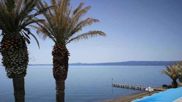 Zona de piscina con palmeras y vista al agua.