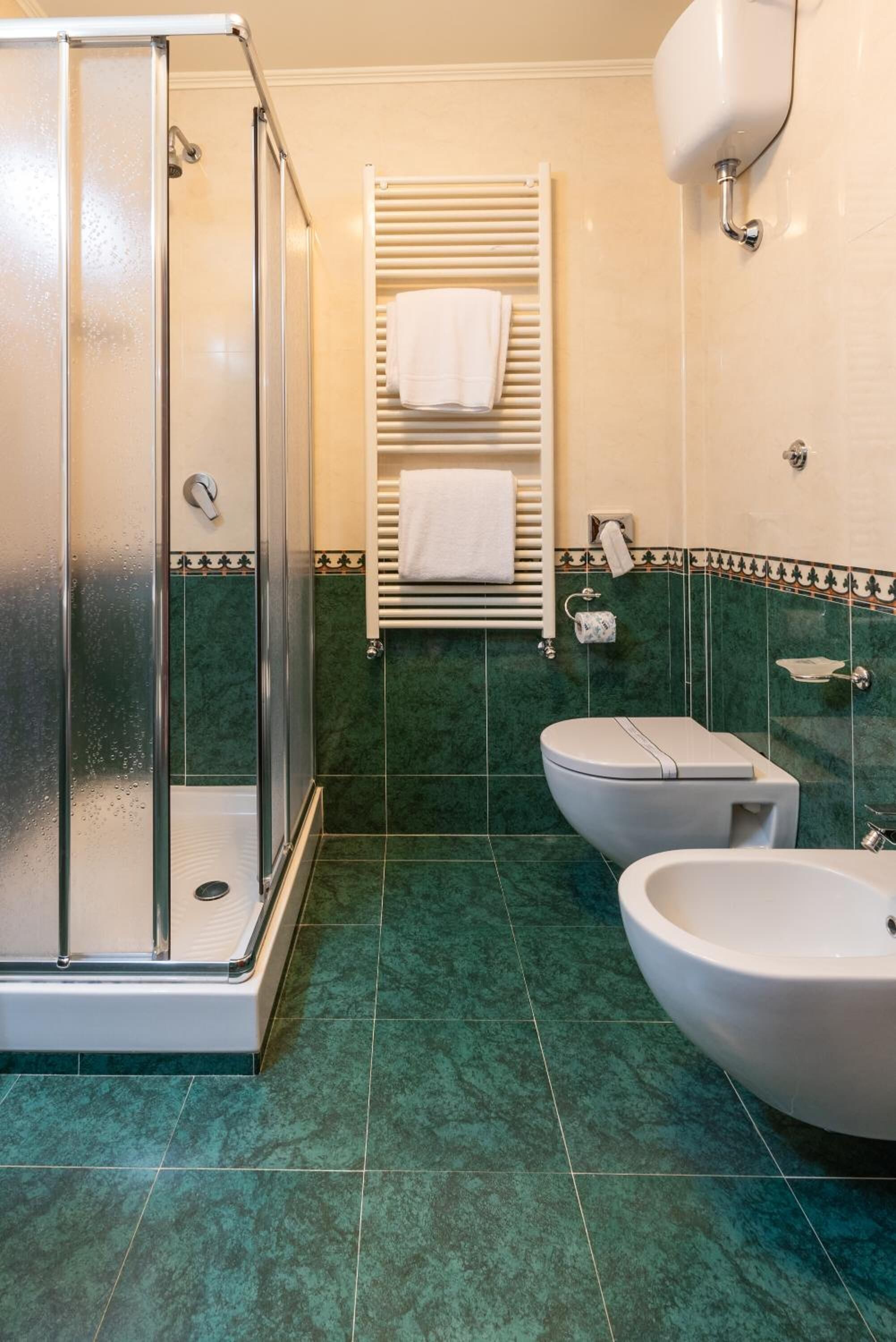 shower, free toiletries, hair dryer, bidet