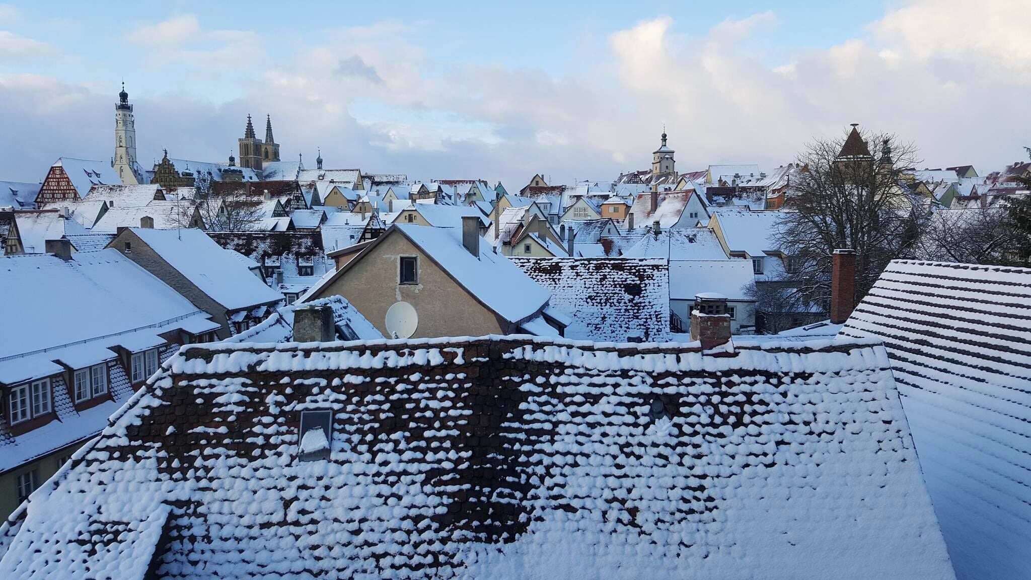 junior studio suite | 1 bedroom, premium bedding, minibar, in-room safe