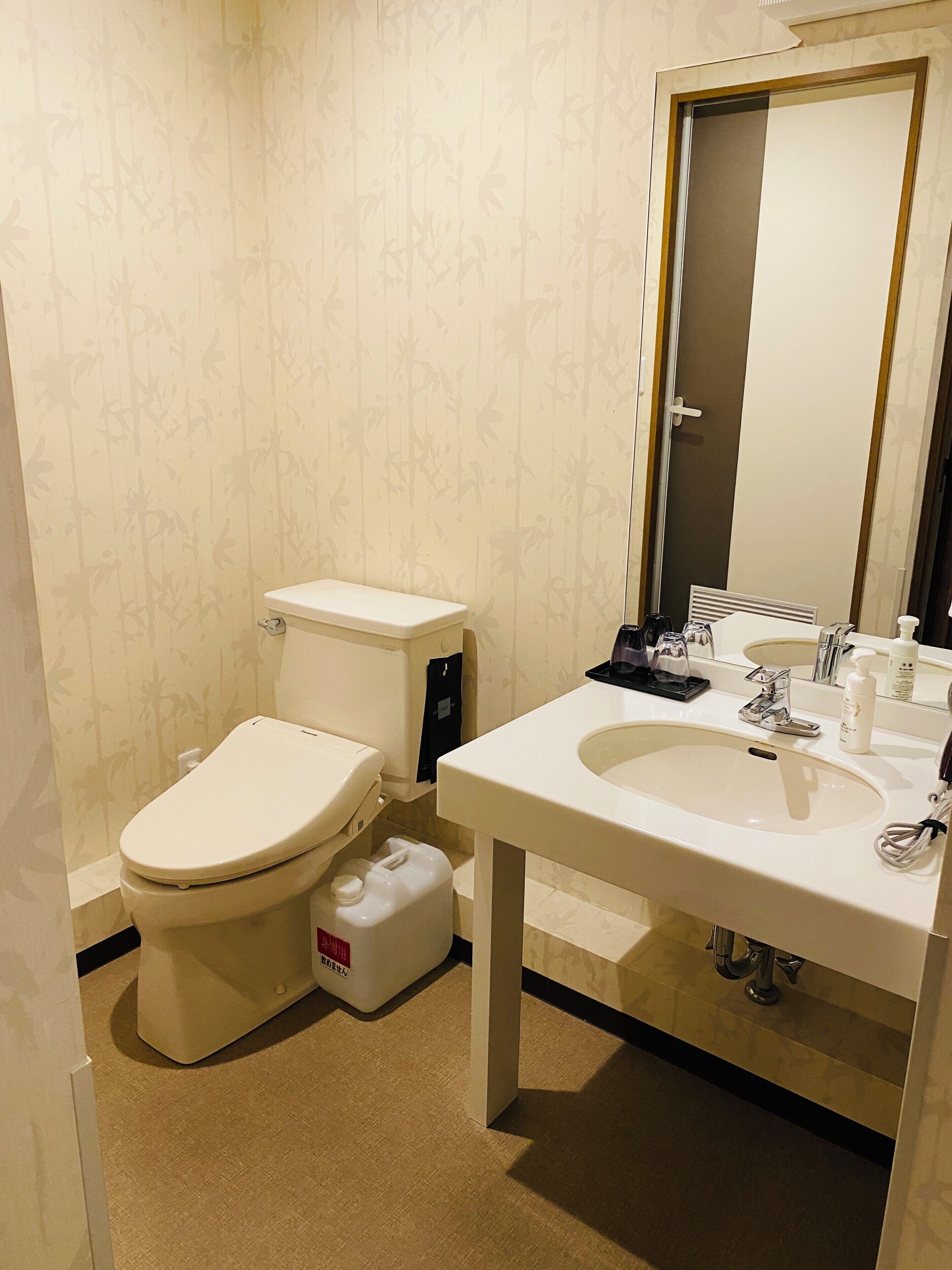 A small bathroom with a toilet, sink, and mirror.