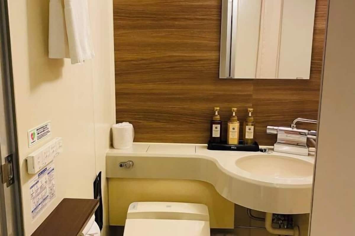 Free toiletries, hair dryer, slippers, bidet