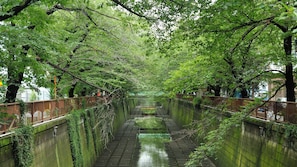 Stroll along the tranquil canal walkway, surrounded by lush greenery and a serene atmosphere.