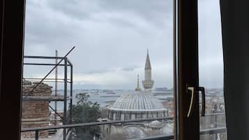City view from property
