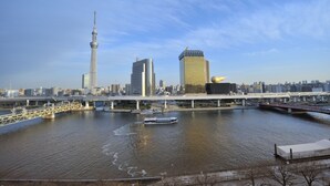 A river with a bridge, a tower, and modern buildings in the background.
