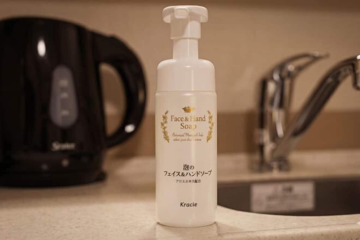 Douche, articles de toilette gratuits, sèche-cheveux, chaussons