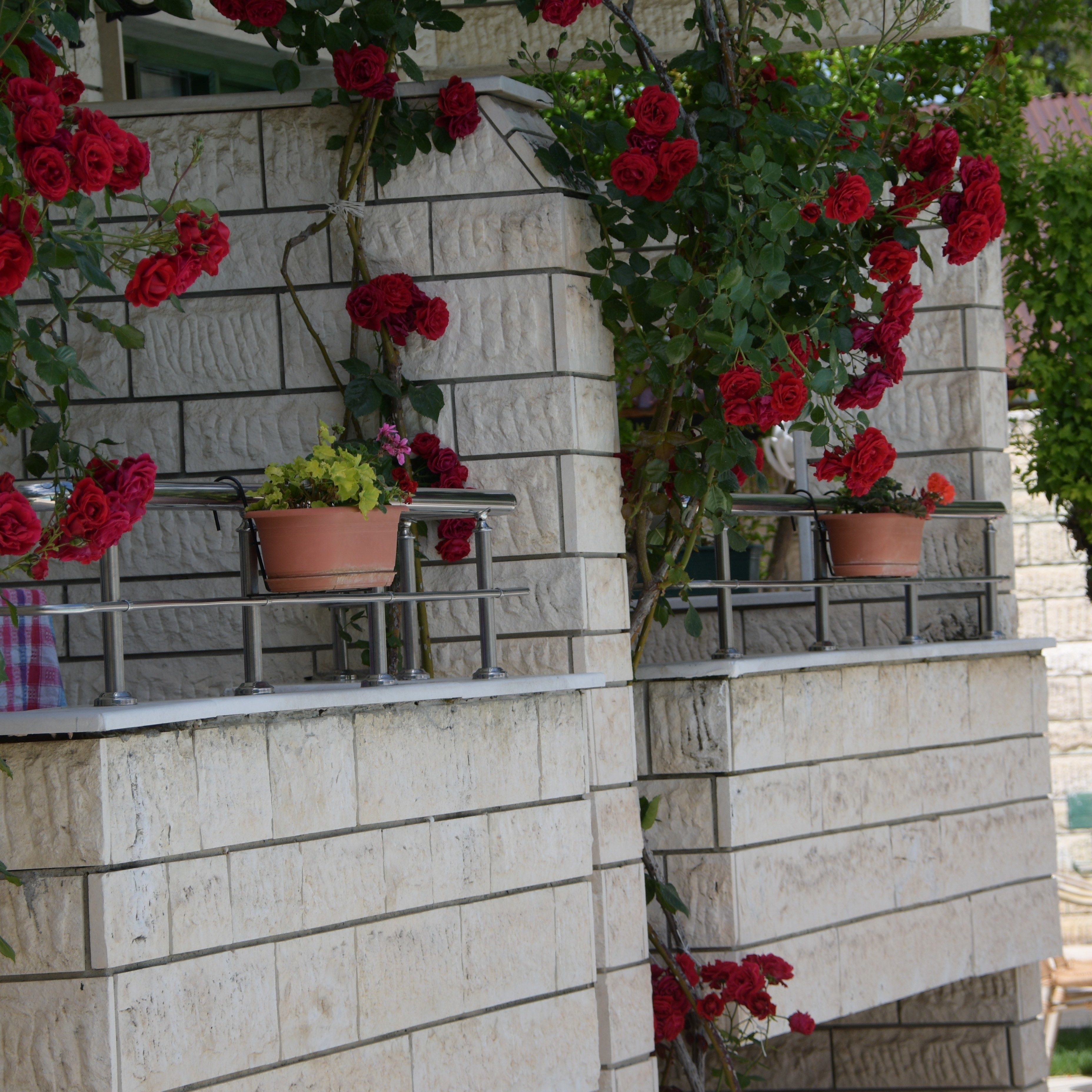 Une façade d’immeuble avec un mur en pierre et une rambarde en métal. Des plantes en pot, ornées de fleurs rouges, sont disposées sur la rambarde.